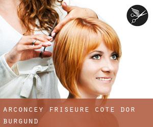 Arconcey friseure (Cote d'Or, Burgund)