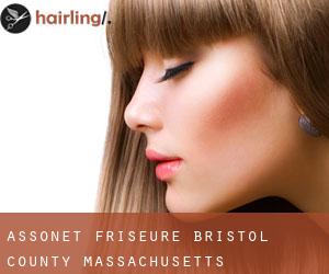 Assonet friseure (Bristol County, Massachusetts)
