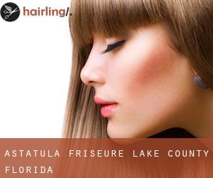 Astatula friseure (Lake County, Florida)