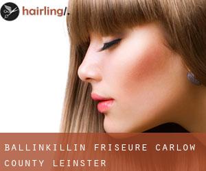 Ballinkillin friseure (Carlow County, Leinster)