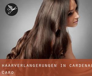 Haarverlängerungen in Cardenal Caro