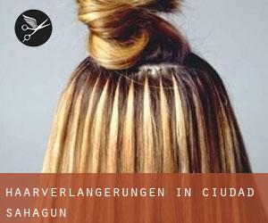Haarverlängerungen in Ciudad Sahagún