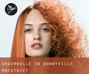 Dauerwelle in Bonnyville M.District