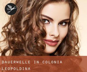 Dauerwelle in Colônia Leopoldina Dauerwelle in Colônia Leopoldina