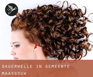 Dauerwelle in Gemeente Maasgouw Dauerwelle in Gemeente Maasgouw