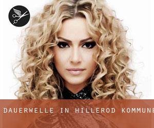 Dauerwelle in Hillerød Kommune Dauerwelle in Hillerød Kommune