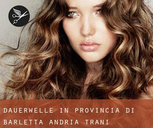 Dauerwelle in Provincia di Barletta - Andria - Trani