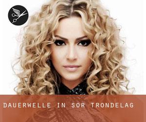 Dauerwelle in Sør-Trøndelag Dauerwelle in Sør-Trøndelag