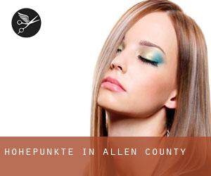 Höhepunkte in Allen County