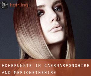Höhepunkte in Caernarfonshire and Merionethshire