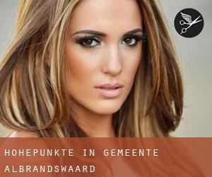 Höhepunkte in Gemeente Albrandswaard Höhepunkte in Gemeente Albrandswaard