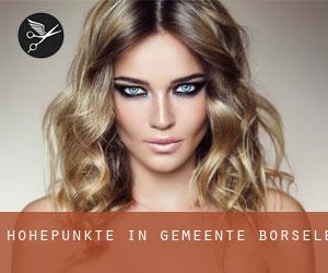 Höhepunkte in Gemeente Borsele Höhepunkte in Gemeente Borsele