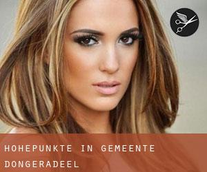 Höhepunkte in Gemeente Dongeradeel Höhepunkte in Gemeente Dongeradeel