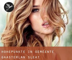 Höhepunkte in Gemeente Gaasterlân-Sleat Höhepunkte in Gemeente Gaasterlân-Sleat