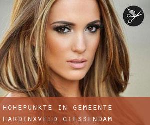 Höhepunkte in Gemeente Hardinxveld-Giessendam Höhepunkte in Gemeente Hardinxveld-Giessendam