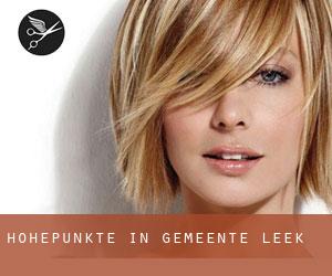 Höhepunkte in Gemeente Leek Höhepunkte in Gemeente Leek