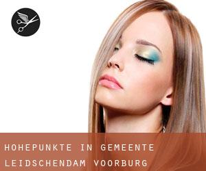 Höhepunkte in Gemeente Leidschendam-Voorburg Höhepunkte in Gemeente Leidschendam-Voorburg