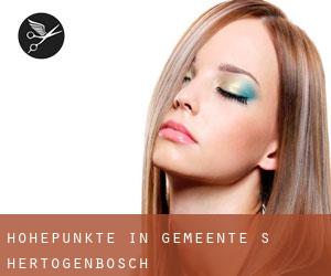 Höhepunkte in Gemeente 's-Hertogenbosch Höhepunkte in Gemeente 's-Hertogenbosch