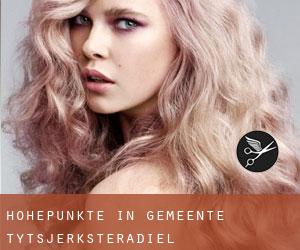 Höhepunkte in Gemeente Tytsjerksteradiel Höhepunkte in Gemeente Tytsjerksteradiel