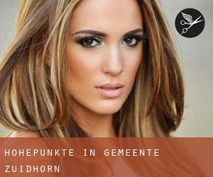 Höhepunkte in Gemeente Zuidhorn Höhepunkte in Gemeente Zuidhorn