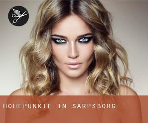 Höhepunkte in Sarpsborg Höhepunkte in Sarpsborg