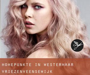 Höhepunkte in Westerhaar-Vriezenveensewijk Höhepunkte in Westerhaar-Vriezenveensewijk