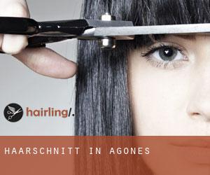 Haarschnitt in Agonès