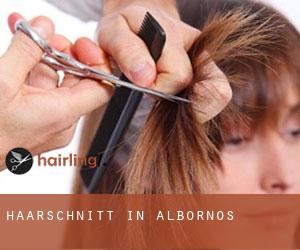 Haarschnitt in Albornos