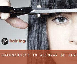 Haarschnitt in Alignan-du-Vent