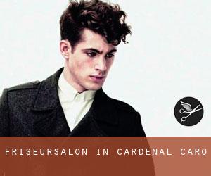 Friseursalon in Cardenal Caro