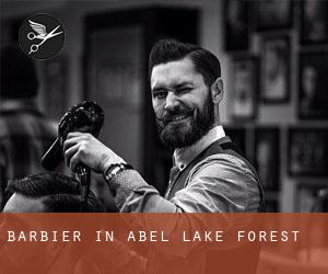 Barbier in Abel Lake Forest