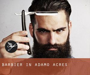 Barbier in Adamo Acres