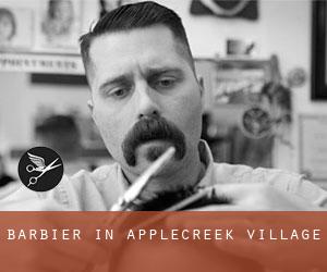 Barbier in Applecreek Village