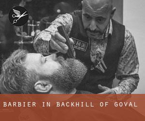Barbier in Backhill of Goval