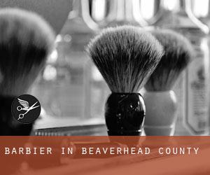 Barbier in Beaverhead County