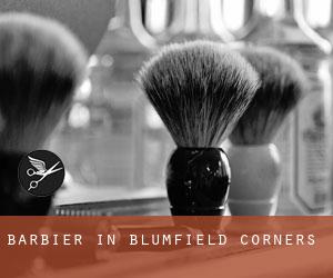 Barbier in Blumfield Corners