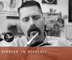 Barbier in Borrenes