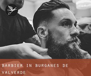 Barbier in Burganes de Valverde