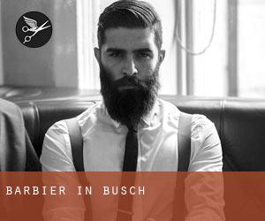 Barbier in Busch