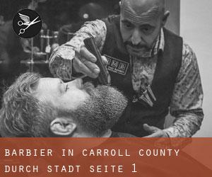 Barbier in Carroll County durch stadt - Seite 1