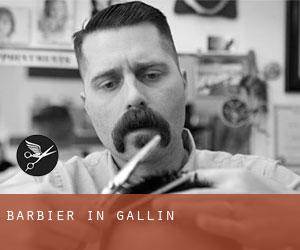 Barbier in Gallin