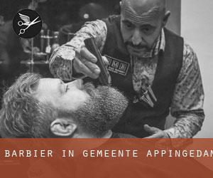 Barbier in Gemeente Appingedam