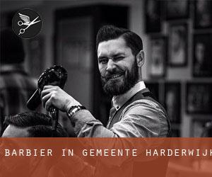 Barbier in Gemeente Harderwijk Barbier in Gemeente Harderwijk