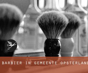 Barbier in Gemeente Opsterland