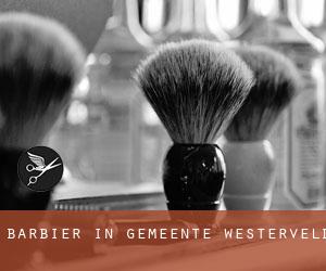 Barbier in Gemeente Westerveld