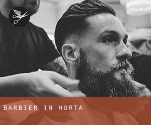 Barbier in Horta