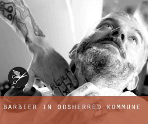 Barbier in Odsherred Kommune