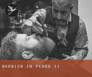 Barbier in Pedro II