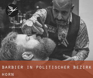 Barbier in Politischer Bezirk Horn