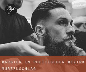 Barbier in Politischer Bezirk Mürzzuschlag